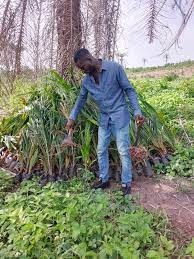 Mr. Emmanuel N