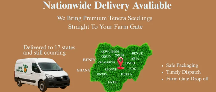 We deliver oil palm seedling to any location